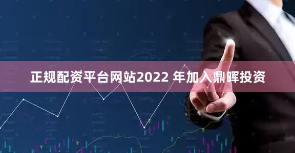 正规配资平台网站2022 年加入鼎晖投资