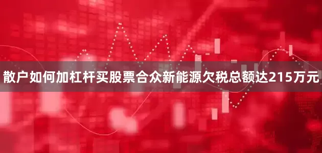 散户如何加杠杆买股票合众新能源欠税总额达215万元