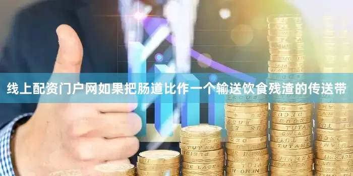 线上配资门户网如果把肠道比作一个输送饮食残渣的传送带