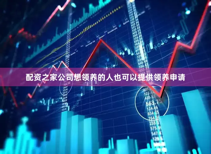 配资之家公司想领养的人也可以提供领养申请