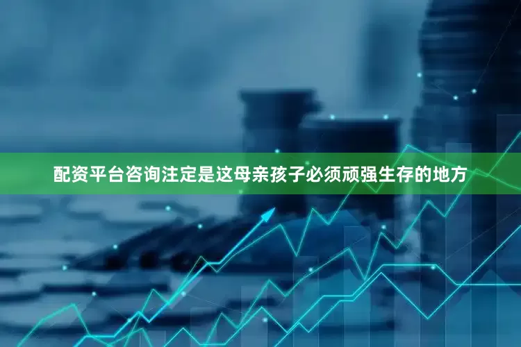 配资平台咨询注定是这母亲孩子必须顽强生存的地方