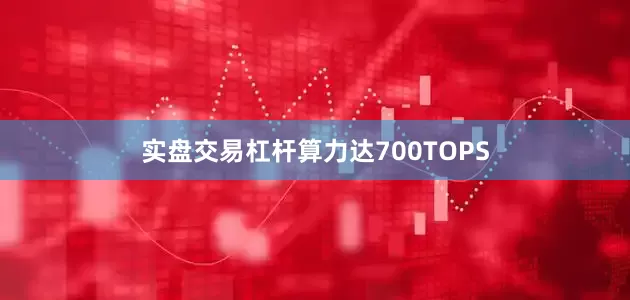 实盘交易杠杆算力达700TOPS