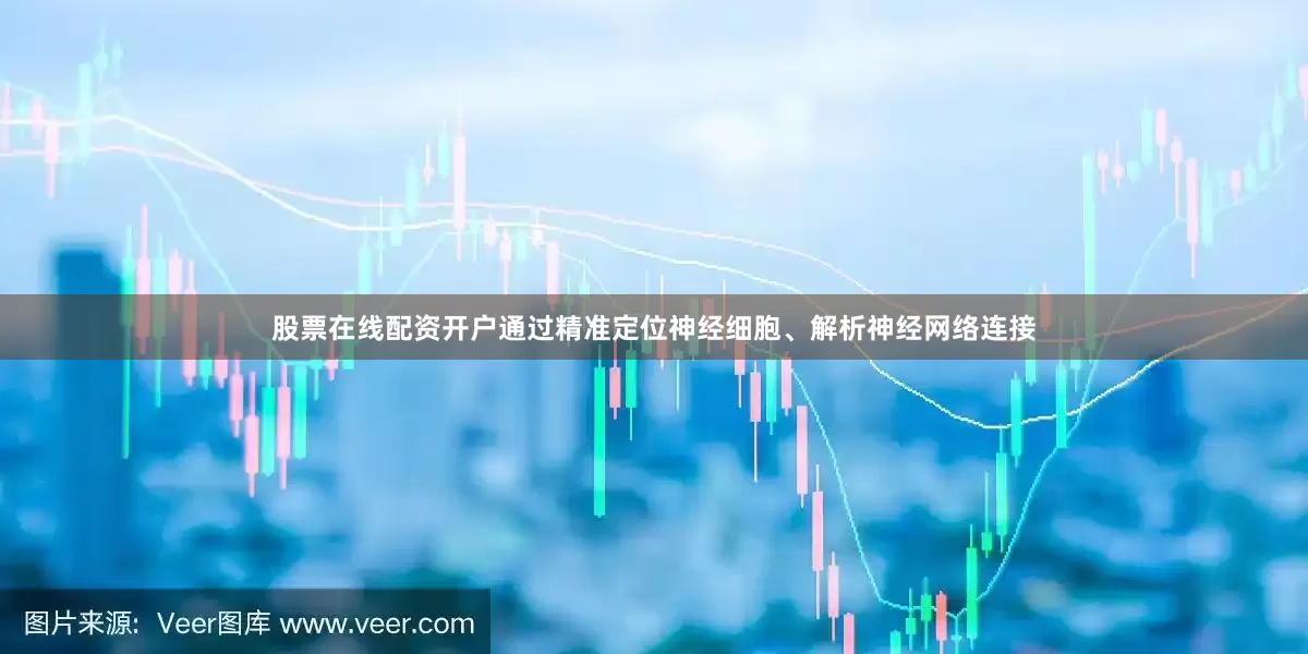 股票在线配资开户通过精准定位神经细胞、解析神经网络连接