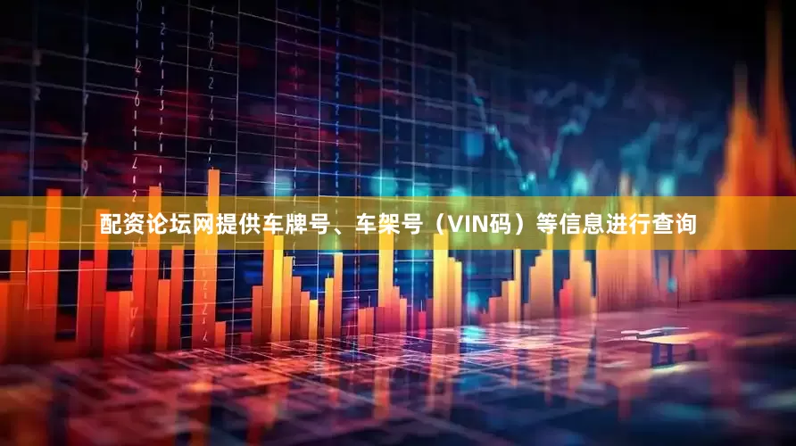 配资论坛网提供车牌号、车架号（VIN码）等信息进行查询