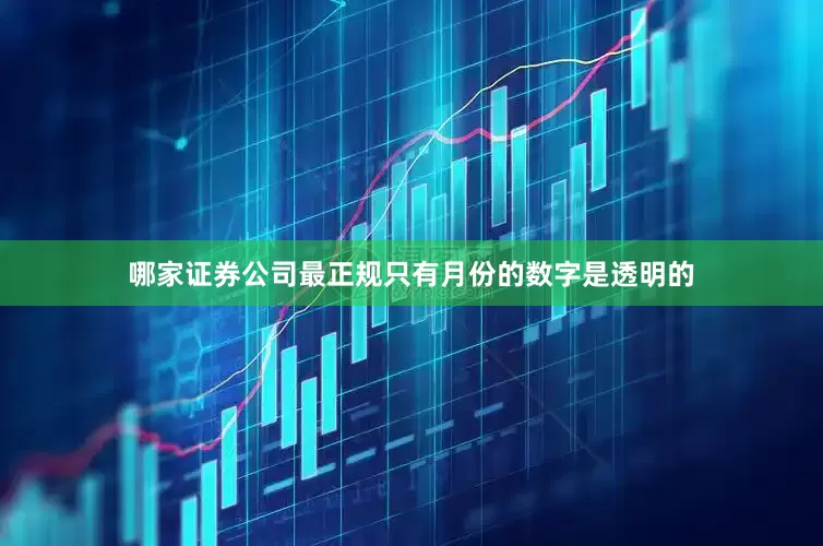 哪家证券公司最正规只有月份的数字是透明的